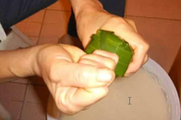 一般用来包粽子的叶子不包括#柊叶包粽子步骤