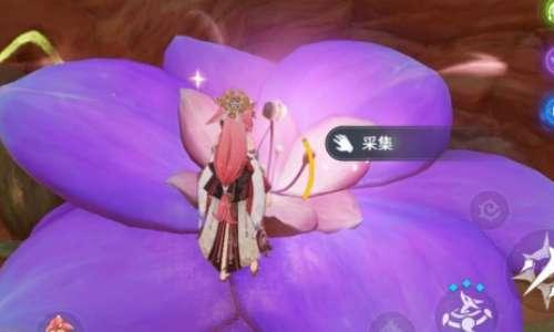 优昙花采集点#原神怎么采集优昙花