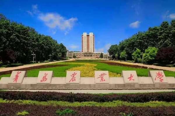 580分左右能上什么好的大学