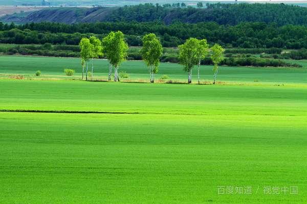 保护屏图片#有意思的屏保图片