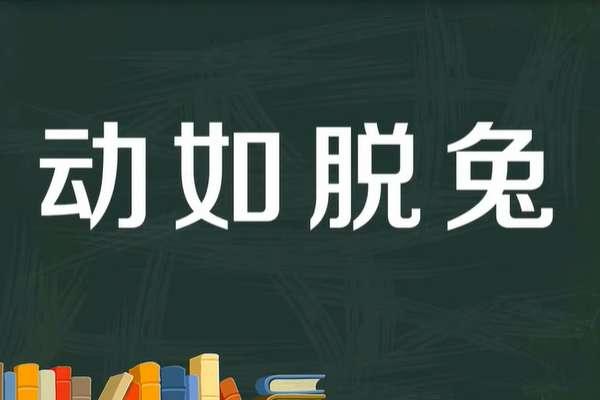 动如脱兔在哪个打造点#动若脱兔比喻人是何意