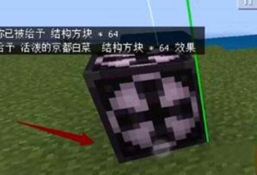 我的世界结构方块#Minecraft指令大全