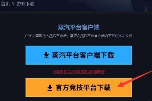 steamcsgo闪退怎么解决