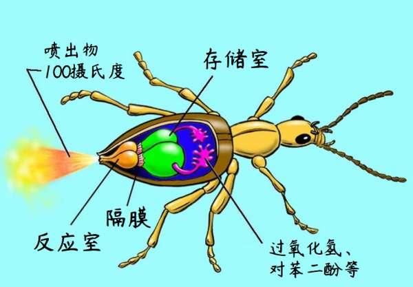 勇者斗恶龙历代主角介绍#勇者斗恶龙人物介绍