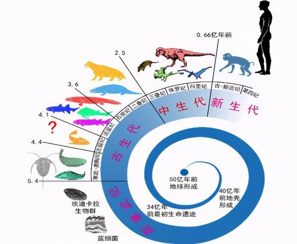 勇者斗恶龙历代主角介绍#勇者斗恶龙人物介绍