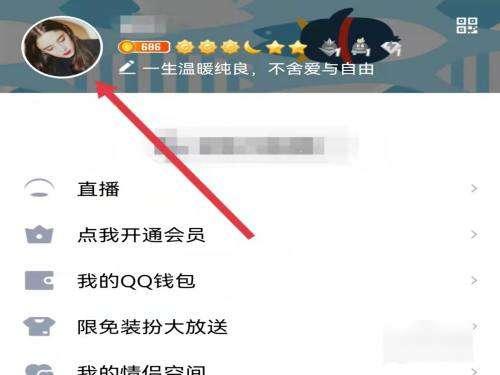 qq等级达人图标为什么点不亮