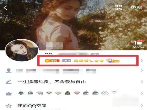 qq等级达人图标为什么点不亮