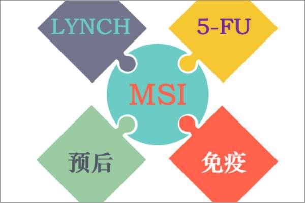 msi参与队伍#MSI是什么意思