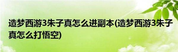 造梦西游3孙悟空打朱子真#造梦西游孙悟空装备掉落关卡