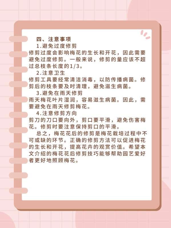 fc无尽的任务装备一览表#FC无尽的任务个人装备