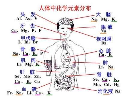 原神元素克制比例图#人是由什么元素组成的