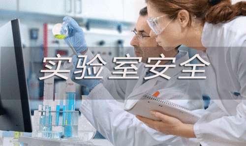 想在实验室学到什么#在实验室我学到了很多东西