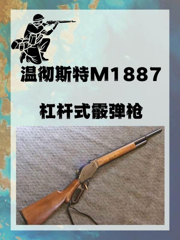 终结者m134ex#终结者2里阿诺用的枪