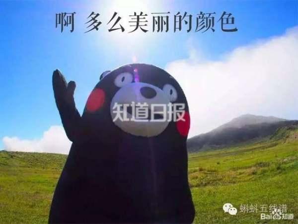 以下哪种海洋动物的血液不是红色