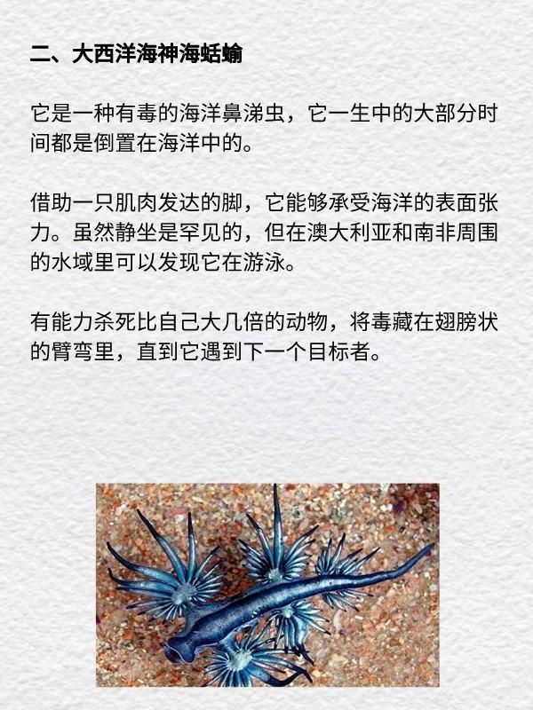 奇异岛上的动物作文#世界上最奇异的动物是什么