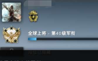 cs全球攻势徽章#csgo徽章怎么获得