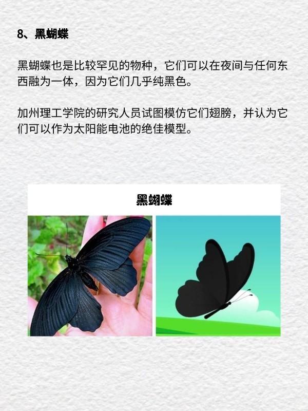 奇异岛上的动物作文#世界上最奇异的动物是什么