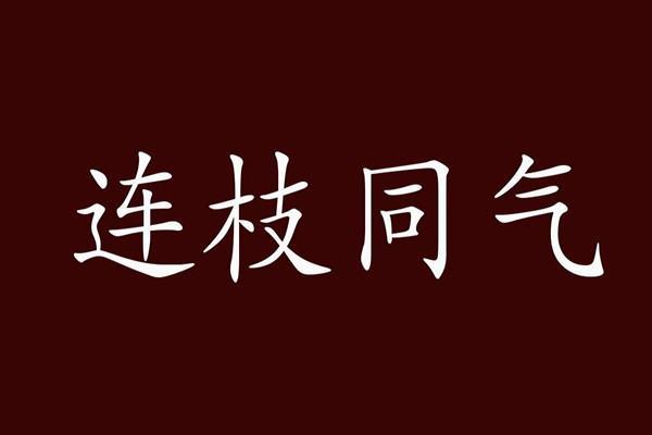 同气连枝一般用来比喻什么#同气连枝和休戚与共的区别