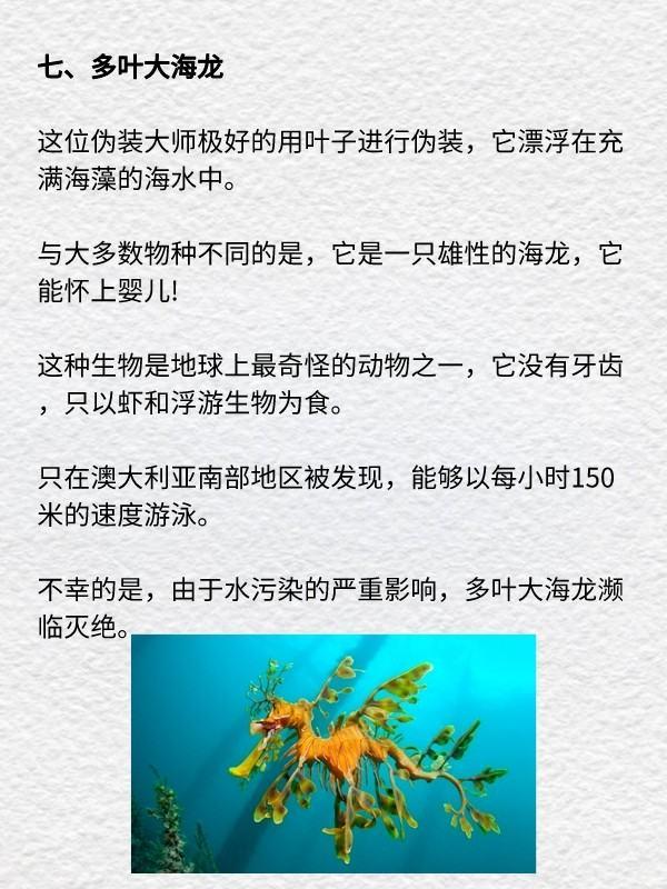 奇异岛上的动物作文#世界上最奇异的动物是什么