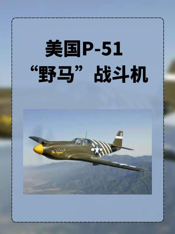 p51野马战斗机参数#现代涡桨战斗机