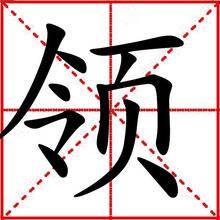 领这字怎么读#领字的含义是什么