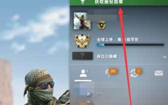 cs全球攻势徽章#csgo徽章怎么获得