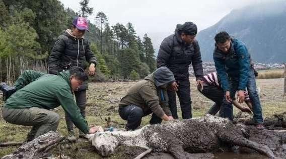 地狱使者沼泽陷阱#地狱使者游戏