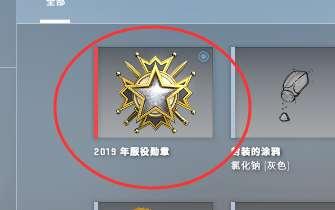 cs全球攻势徽章#csgo徽章怎么获得