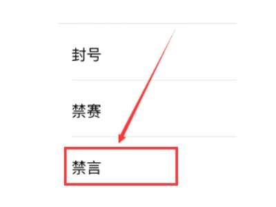 王者荣耀打不了字怎么回事#王者不能打字聊天怎么设置