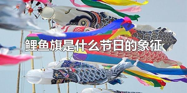 鲤鱼旗的含义和象征#日本的鲤鱼旗代表什么