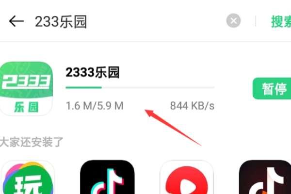 233乐园233乐园安装最新版下,二三三乐元